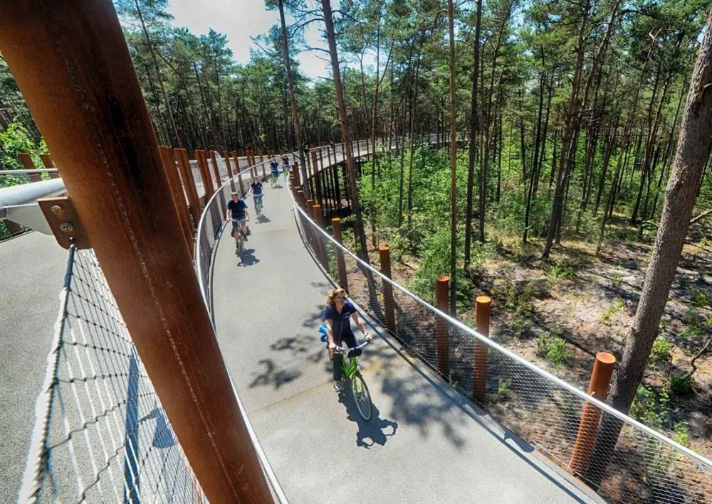 Carril bici elevado sobre pilotes helicoidales a través de un bosque, Limburgo, Bélgica